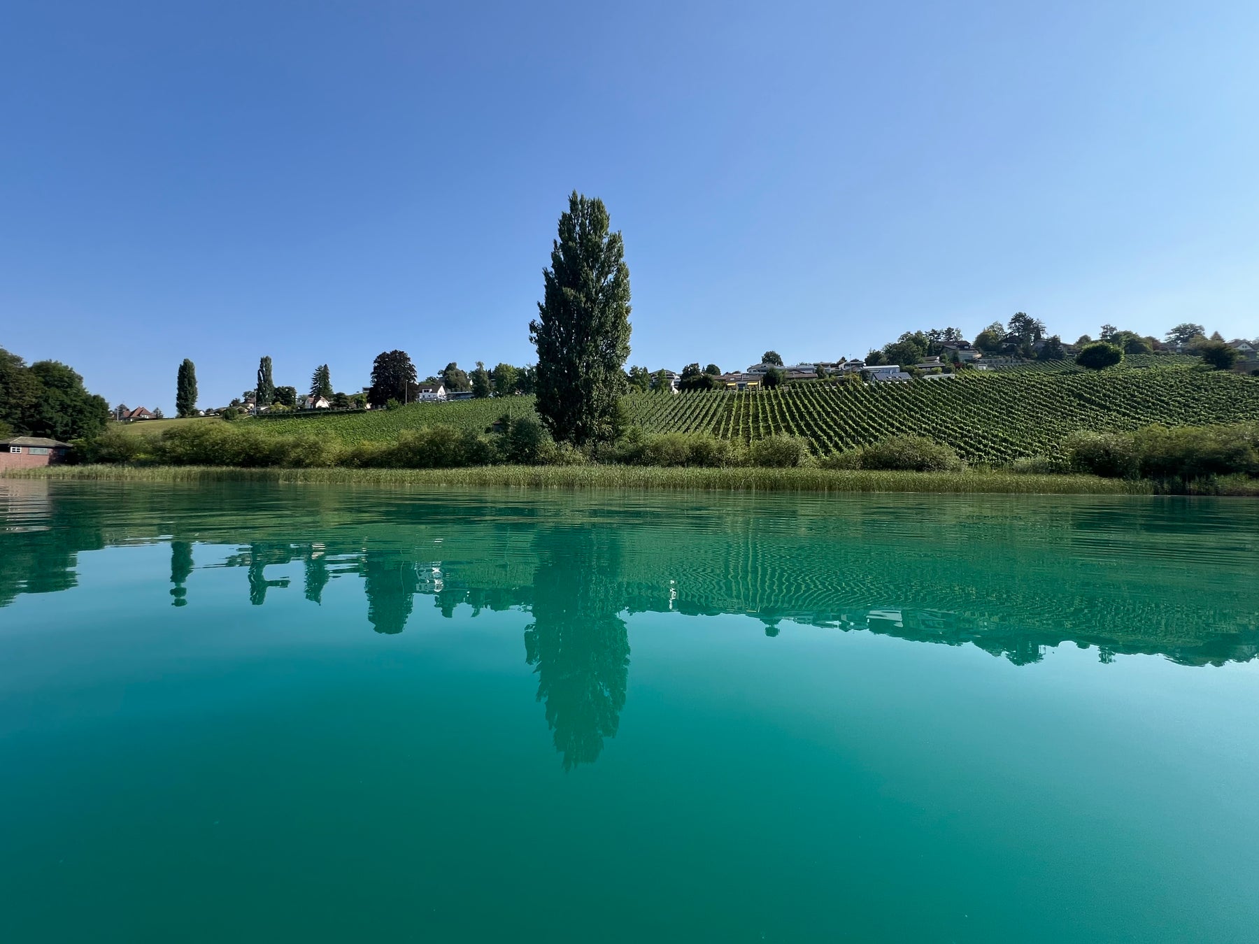 Ruhiger Blick über den See als Symbol für Verantwortung im Wasser