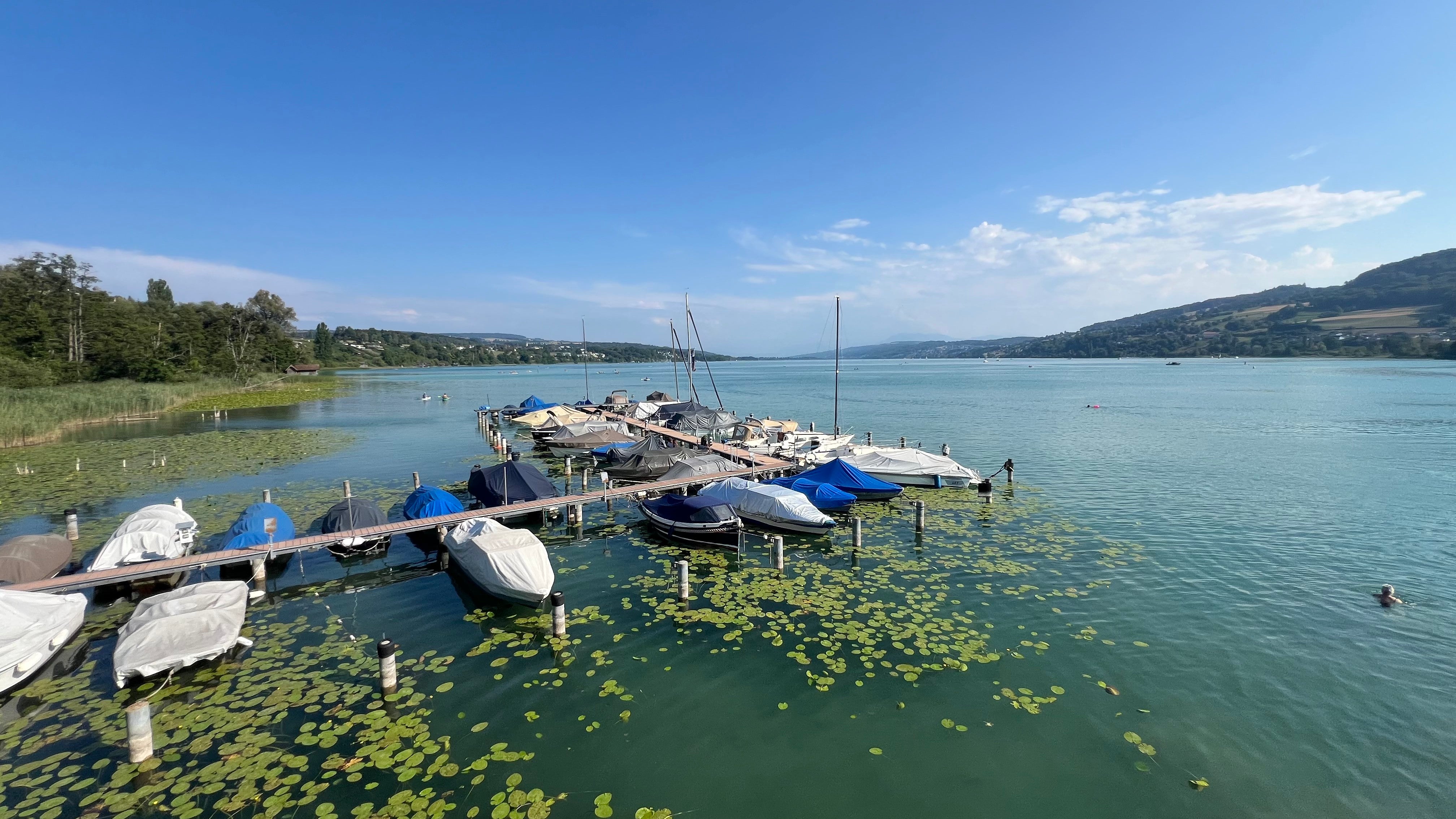 Boje10 Schwimmboje als Produktpräsentation am Hallwilersee